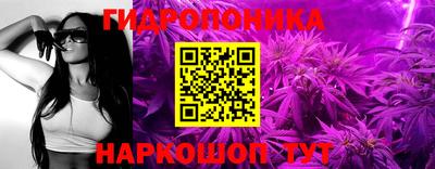 дживик Пенза